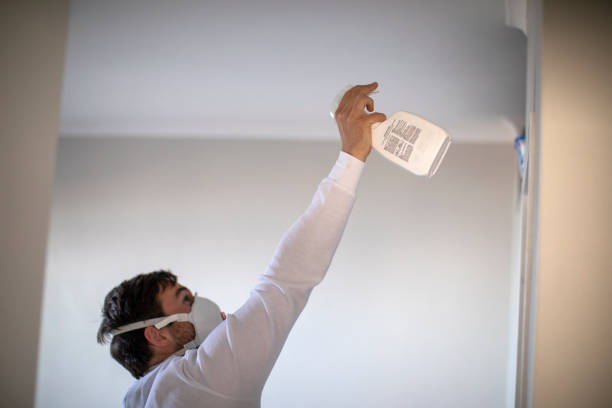Best Affordable Mold Removal  in West Liberty, IA