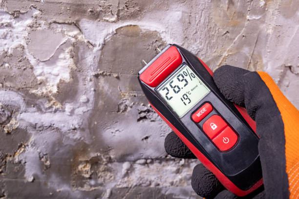 Home Mold Removal in West Liberty, IA
