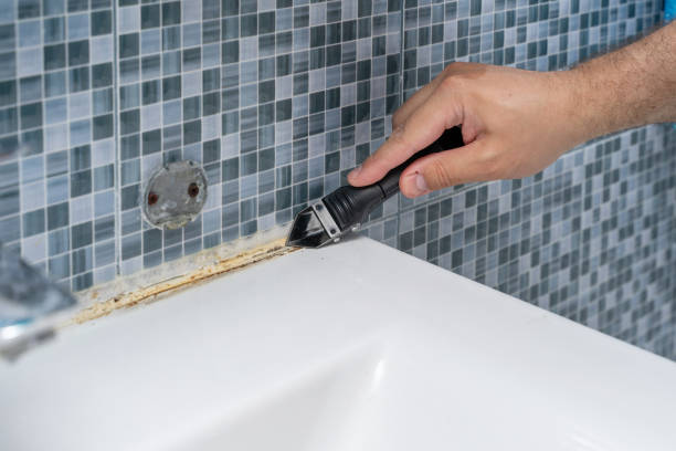 Best Best Mold Removal Companies  in West Liberty, IA