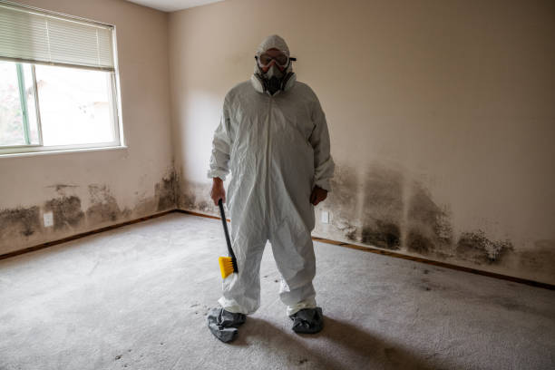 Best Emergency Mold Removal  in West Liberty, IA
